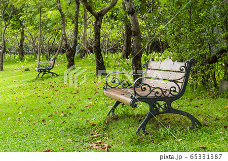 Chairs on the lawn in the park. Chairs on the lawn in the park. 65331387