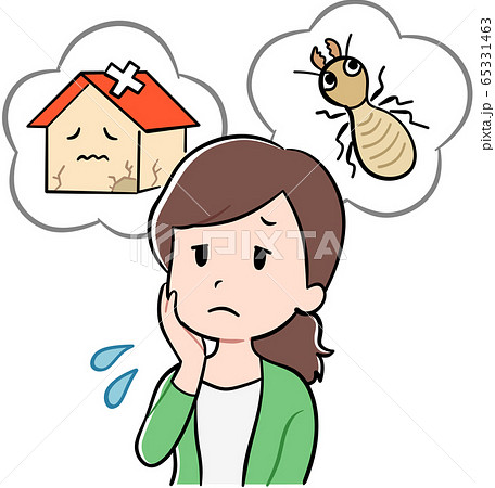 シロアリ被害に悩む女性 シロアリ被害に悩む女性 65331463