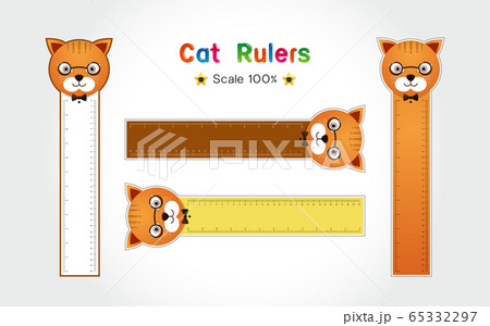 Rulers Inch and metric rulers Vector isolated set Rulers Inch and metric rulers Vector isolated set 65332297