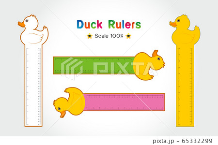 Rulers Inch and metric rulers Vector isolated set Rulers Inch and metric rulers Vector isolated set 65332299