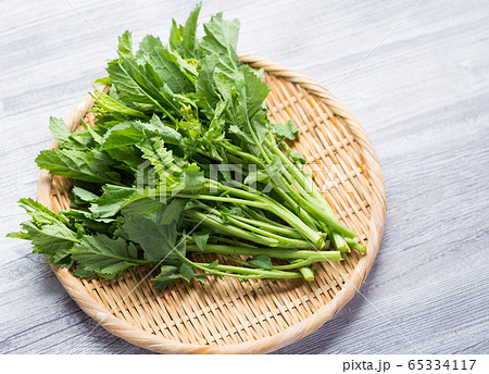 西洋菜花 65334117