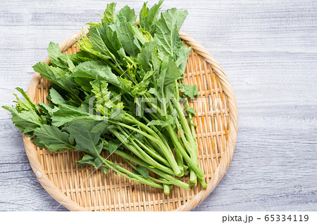 西洋菜花 65334119
