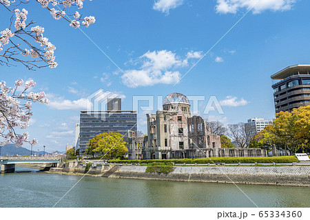 満開の桜と原爆ドーム 満開の桜と原爆ドーム 65334360