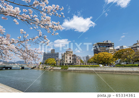 満開の桜と原爆ドーム 満開の桜と原爆ドーム 65334361