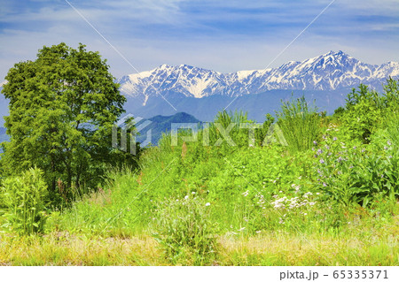 小川アルプスラインから眺める北アルプス、長野県上水内郡小川村みて 65335371