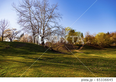 Spring landscape. Spring landscape. 65336645