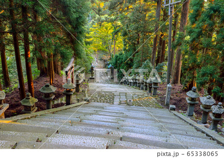 京都の愛宕神社 65338065