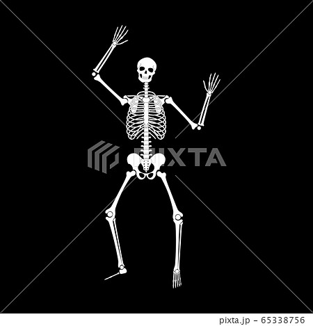Happy Dancing Skeletons On Halloweenのイラスト素材