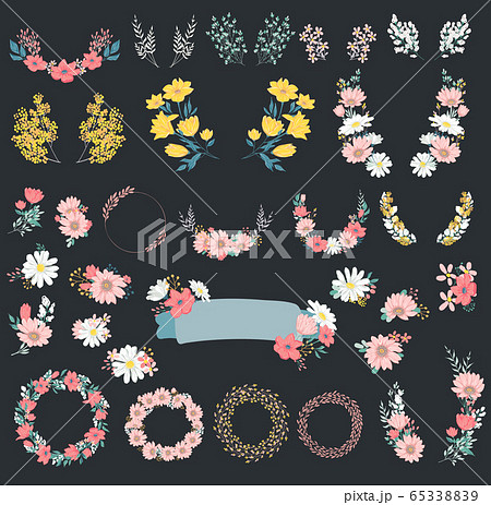 Vector flowers set. Vector flowers set. 65338839