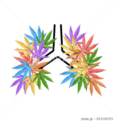 Colorful Hemp or cannabis leaves shaped in human lungs Colorful Hemp or cannabis leaves shaped in human lungs 65339355