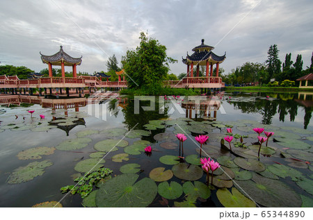 Melati Lake with foreground lotus flower. Melati Lake with foreground lotus flower. 65344890