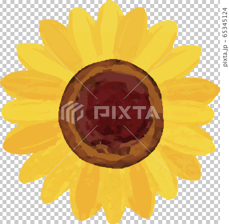 Sunflower summer flower watercolor analog touch Sunflower summer flower watercolor analog touch 65345124