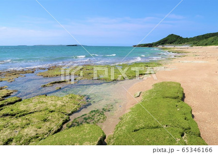 沖縄 海 沖縄 海 65346166