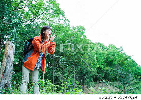 登山　女性　山ガール　トレッキング　山登り　山　アウトドア　ハイキング 65347024