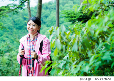 登山 女性 山ガール トレッキング 山登り 山 アウトドア ハイキング 登山 女性 山ガール トレッキング 山登り 山 アウトドア ハイキング 65347028