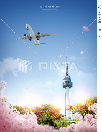 Beautiful springtime with cherry blossom 009 65348520