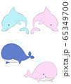 海の生き物 65349700