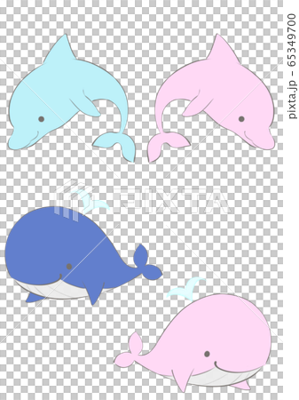 海生物 海生物 65349700
