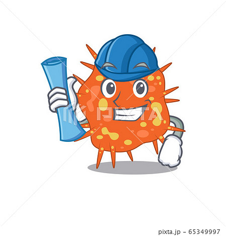 Cartoon character of burkholderia mallei brainy Architect with blue prints and blue helmet Cartoon character of burkholderia mallei brainy Architect with blue prints and blue helmet 65349997