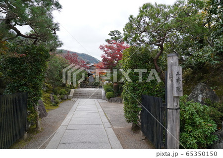 京都 嵐山 紅葉観光 京都 嵐山 紅葉観光 65350150