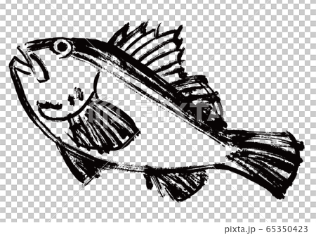 Kaso水彩畫 65350423