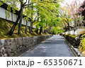 東福寺 筋塀の道 65350671