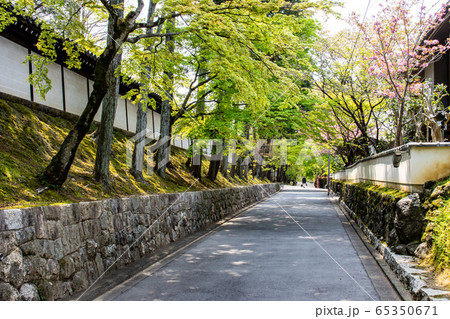 東福寺 筋塀の道 東福寺 筋塀の道 65350671