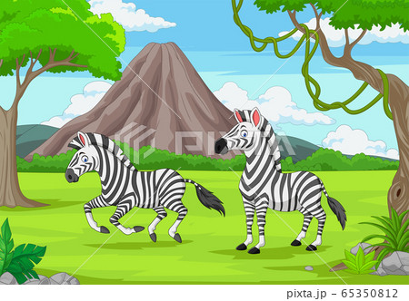 Cartoon two zebras in the jungle 65350812