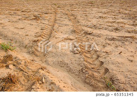 Tractor tracks on the ground.Wheel marks on the 65351345