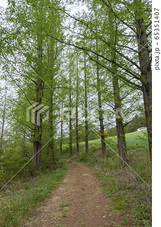 季節 雲 用おから 65351407