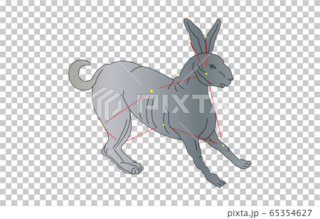 88 Constellation Rabbit - Stock Illustration [65354627] - PIXTA