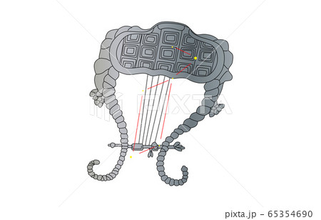 88星座こと座 65354690