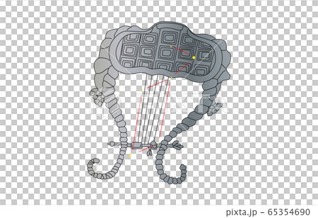 88星座こと座 65354690