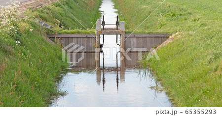 Meadow with a ditch in the Netherlands 65355293