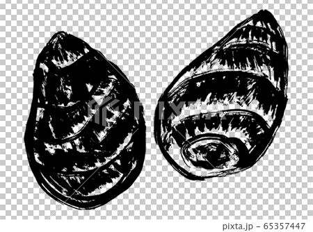 里芋　水彩画 65357447