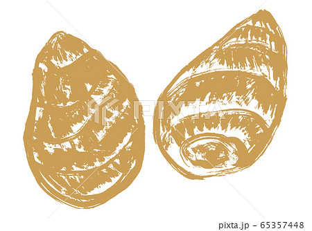 里芋 水彩画のイラスト素材