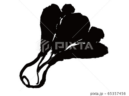 チンゲンサイ　水彩画 65357456