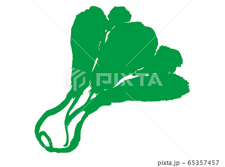 チンゲンサイ　水彩画 65357457