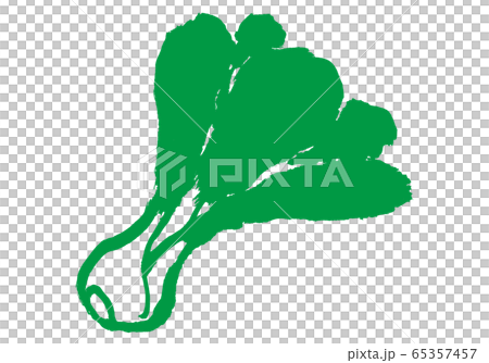 白菜水彩 65357457