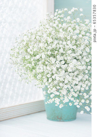 Kasumi Grass In A Vase Stock Photo