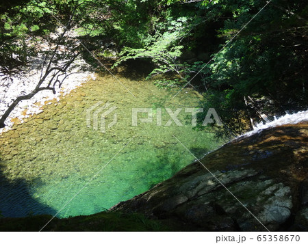 南紀　滝本本谷から滝本北谷沢登 65358670