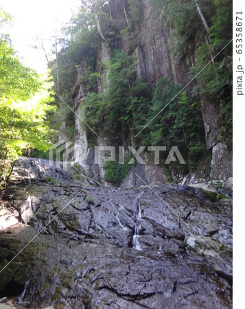 南紀　滝本本谷から滝本北谷沢登 65358671