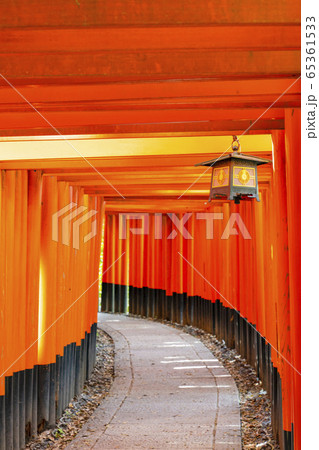 京都　伏見稲荷　千本鳥居 65361533