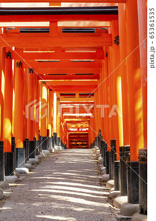 京都 伏見稲荷 千本鳥居 京都 伏見稲荷 千本鳥居 65361535