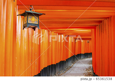 京都 伏見稲荷 千本鳥居の写真素材 京都 伏見稲荷 千本鳥居の写真素材
