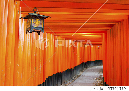 京都　伏見稲荷　千本鳥居 65361539