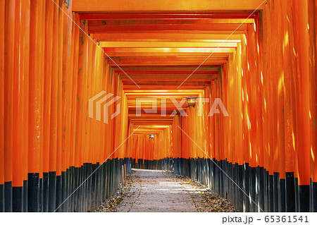 京都　伏見稲荷　千本鳥居 65361541