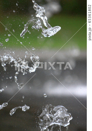 7 Sept 2008 the spring pool at the nature back 65361802