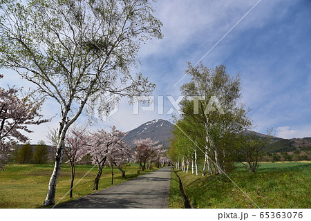 磐梯山と桜 磐梯山と桜 65363076
