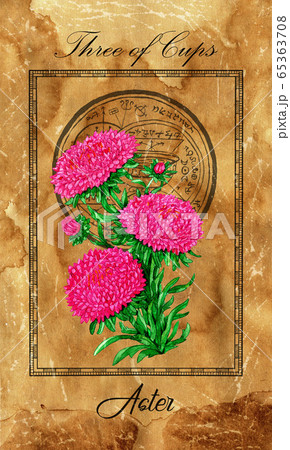 Three of Cups. Minor Arcana tarot card with Aster and magic seal. Full vintage deck Enchanted Flowers. Hand drawn illustration with botanical symbols. Gothic, occult and esoteric background Three of Cups. Minor Arcana tarot card with Aster and magic seal. Full vintage deck Enchanted Flowers. Hand drawn illustration with botanical symbols. Gothic, occult and esoteric background 65363708